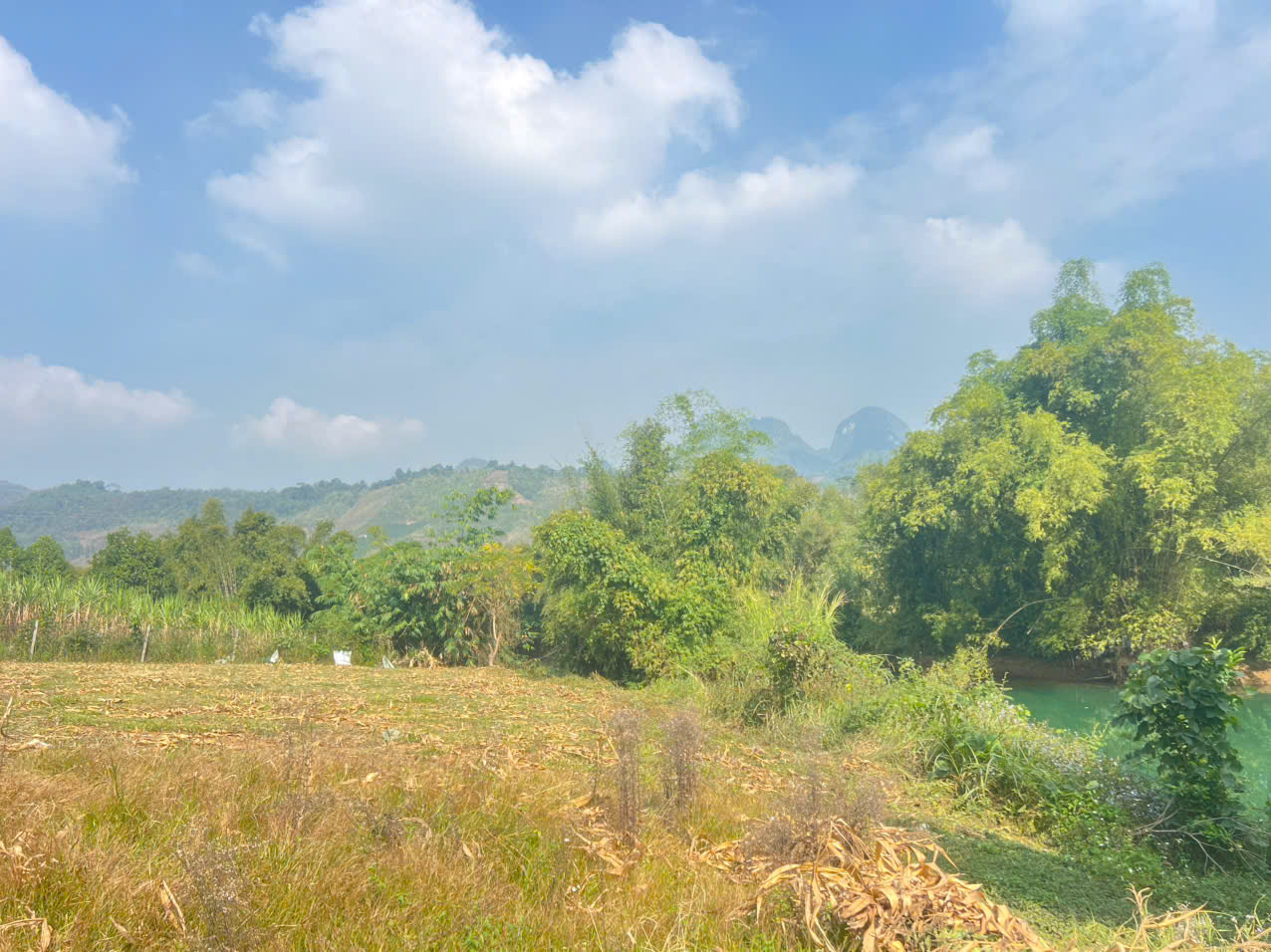 Bán 2561M có 1400M đất ở bám suối 65M_Bắc Phong Cao Phong HB_2,x tỷ - Ảnh 3